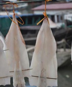 Mực 1 nắng Phú Yên