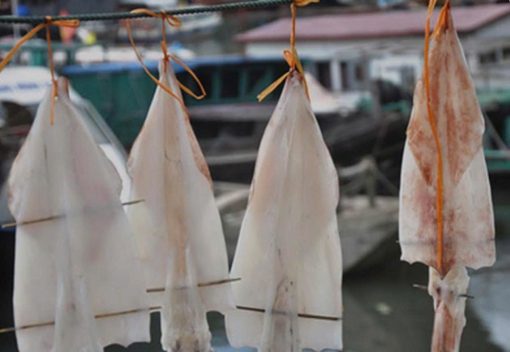 Mực 1 nắng Phú Yên