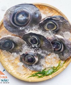 Mắt cá ngừ đại dương tươi Phú Yên