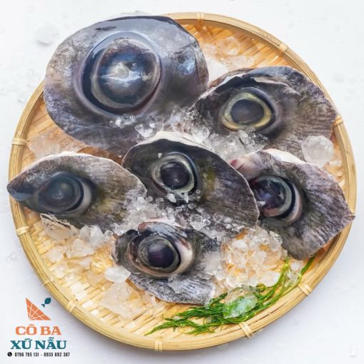 Mắt cá ngừ đại dương tươi Phú Yên