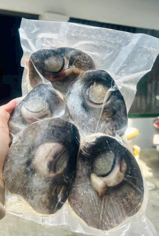 Mắt cá ngừ đại dương tươi Phú Yên - Hình ảnh 2