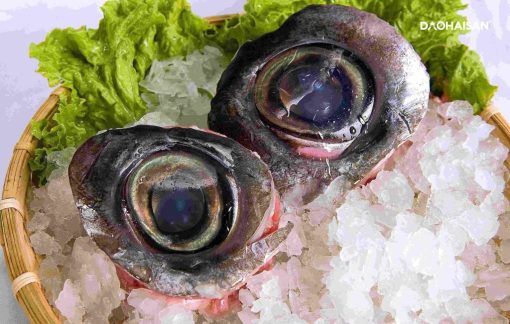 Mắt cá ngừ đại dương tươi Phú Yên - Hình ảnh 3